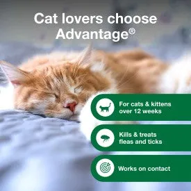 Advantage Cat Flea & Tick Shampoo for Kittens & Adult Cats