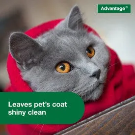 Advantage Cat Flea & Tick Shampoo for Kittens & Adult Cats