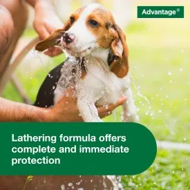 Advantage Dog Flea & Tick Shampoo for Puppies & Adult Dogs