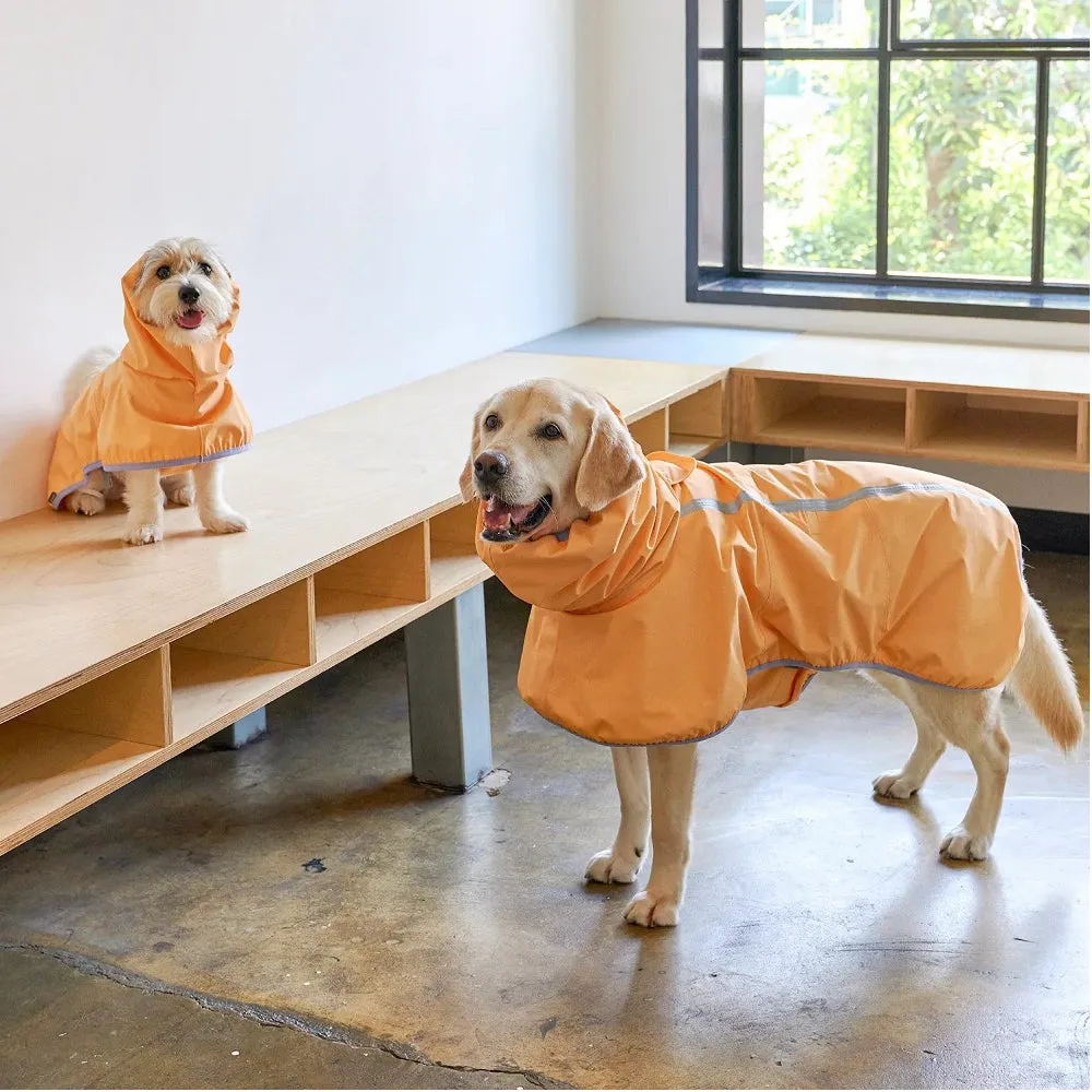 Apple Mango Rain Coat