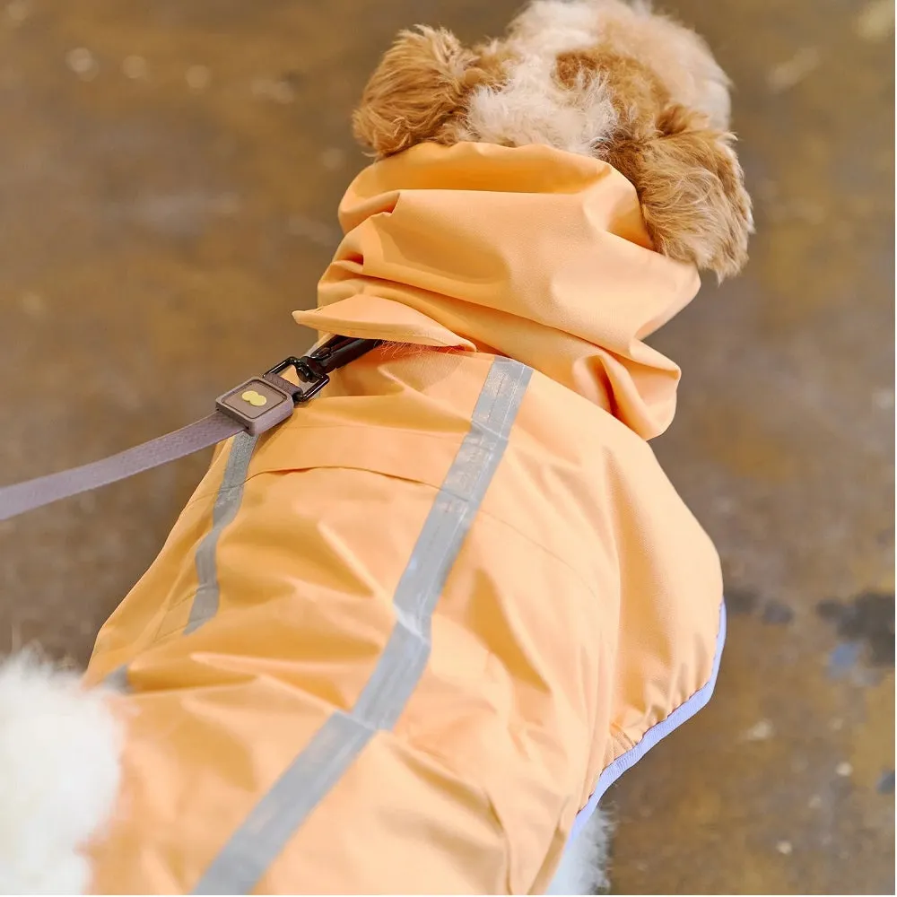 Apple Mango Rain Coat