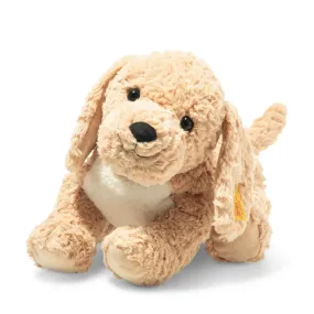 Berno Goldendoodle Dog, Beige