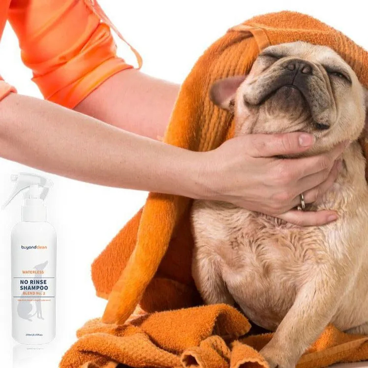 Beyond Clean Blend No.1 Organic Aloe Vera, Lemongrass & Cedarwood Waterless No Rinse Shampoo Spray For Dogs