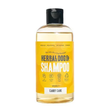 Candy Cane Natural Shampoo - Herbal Dog Co.