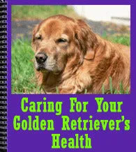 Caring For Your Golden Retriever’s Health - Tips for a Healthy and Happy Companion