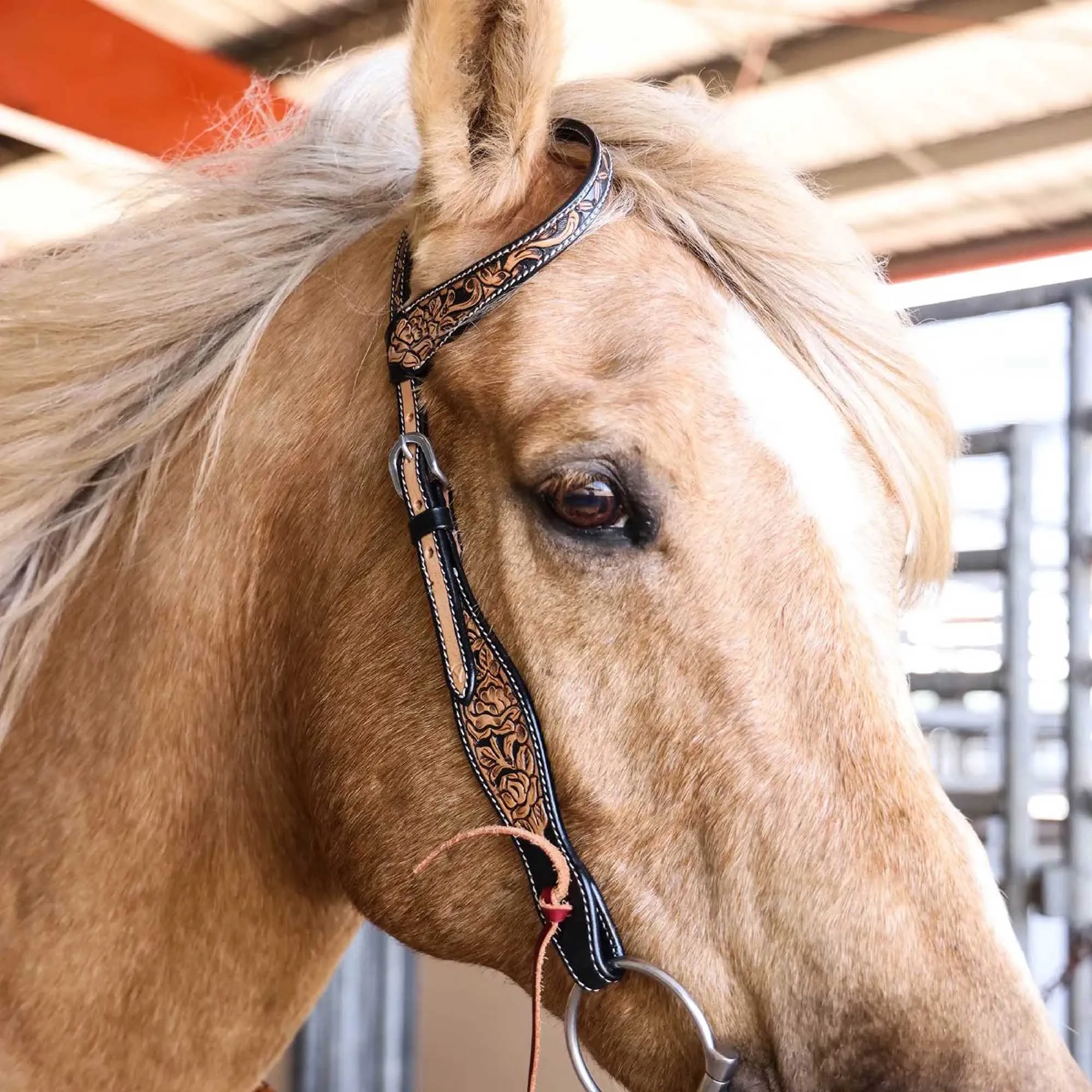 Circle Y Blooming Wild One Ear Headstall, Full