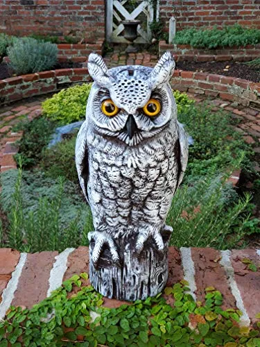 Dalen Fake Owl Decoy to Scare Birds Gardens Rooftops and Patios Snow White