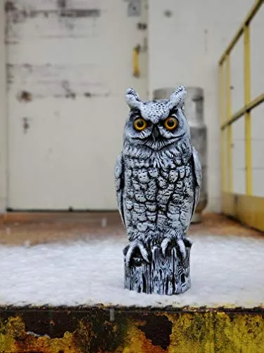 Dalen Fake Owl Decoy to Scare Birds Gardens Rooftops and Patios Snow White