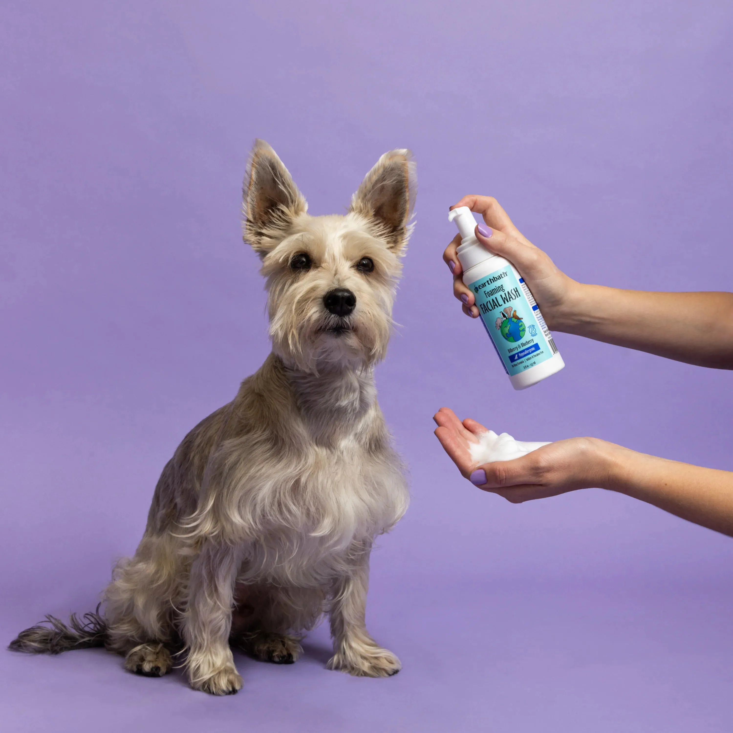 Earthbath Hypoalergenic Foaming Facial Wash (Bilberry & Blueberry) for Dogs and Cats