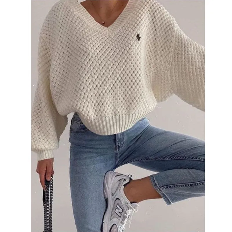 LANFUBEISI Knitted Loose Women Sweater Solid Casual V Neck Long Sleeve Pullover Sweaters  Autumn Winter Embroidery Sweater Oversize Top