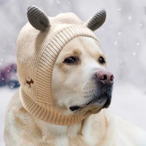 Quiet Dog Ear Muffs for Winter Warmth