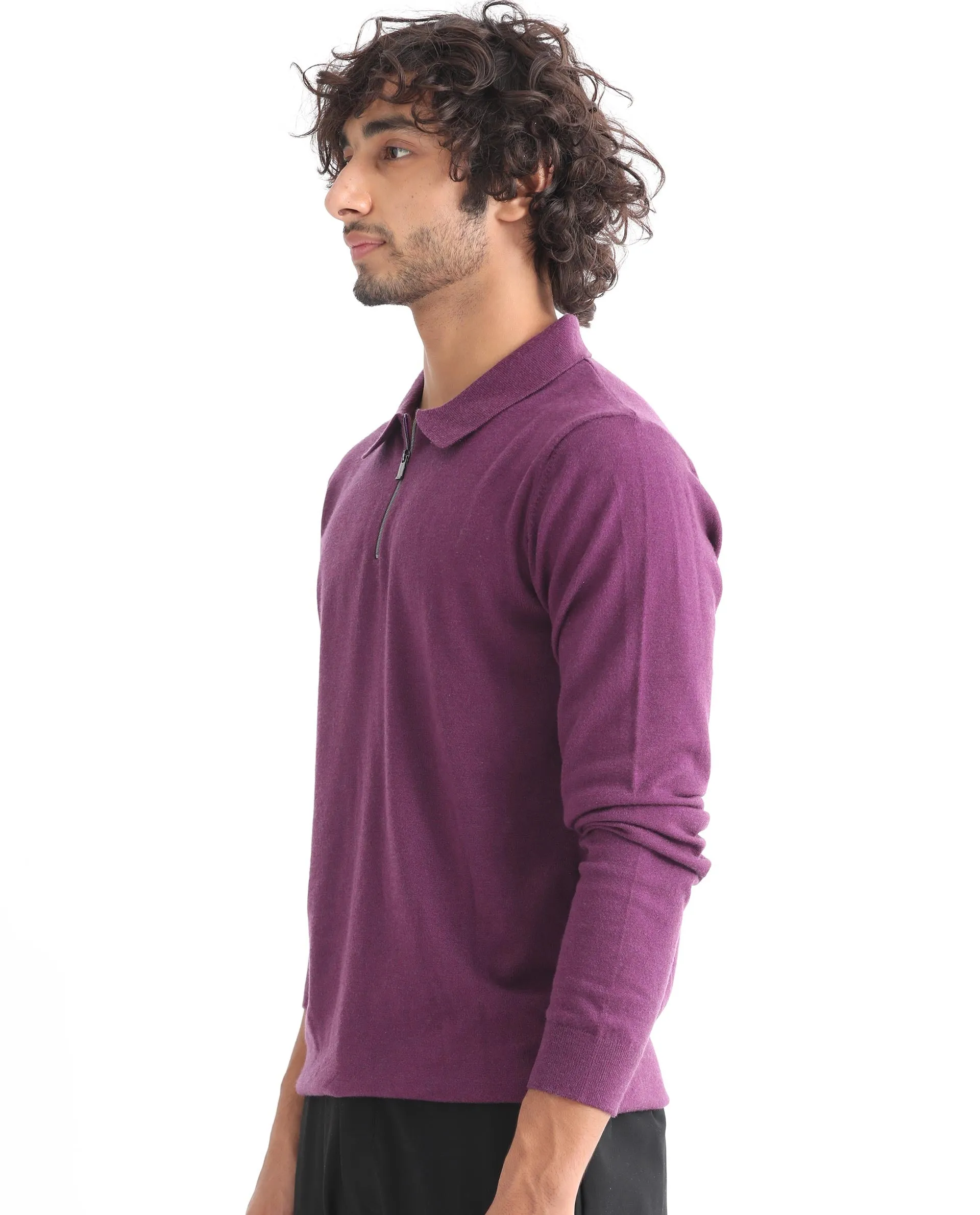 Rare Rabbit Mens Griffin Purple Sweater Viscose Nylon Polyester Fabric Collared Neck Knitted Full Sleeves Zipper Closure Regular Fit