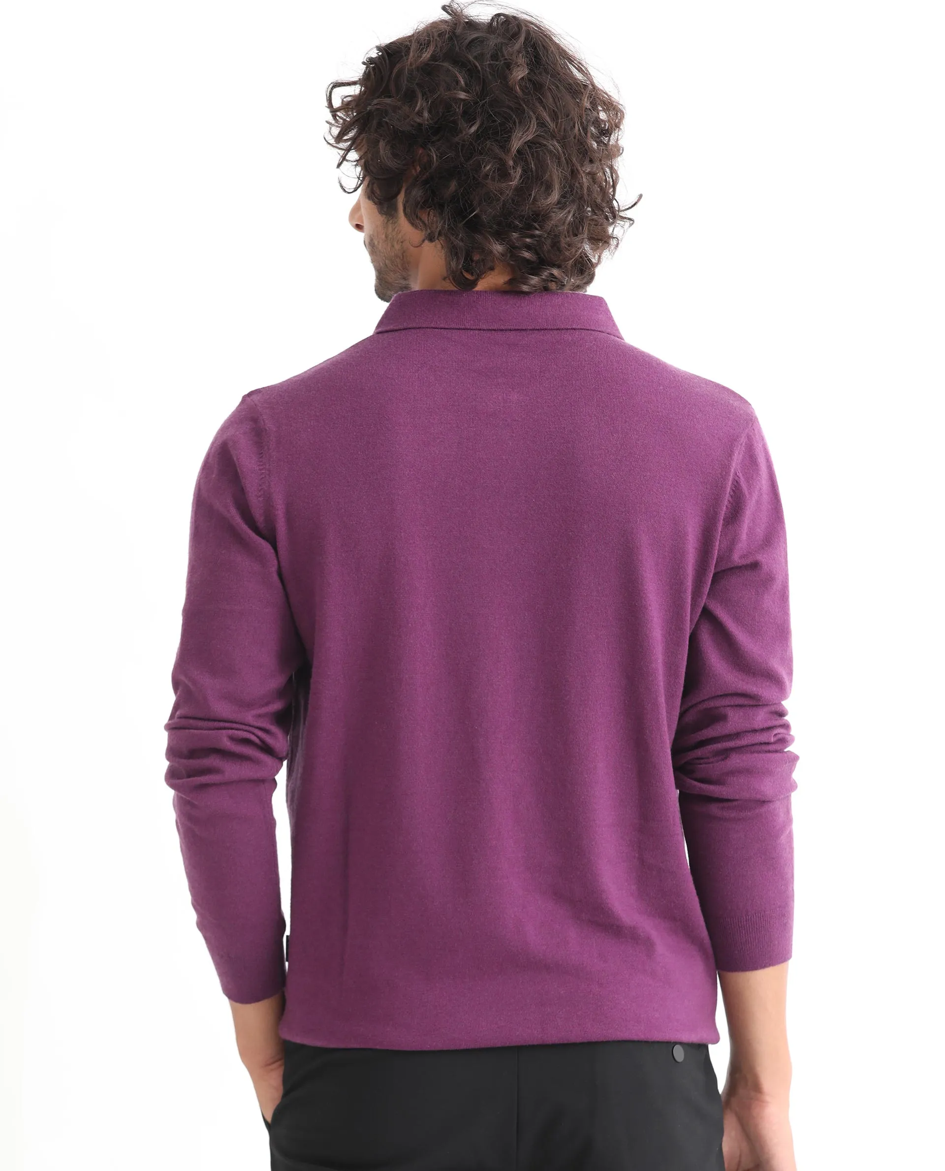 Rare Rabbit Mens Griffin Purple Sweater Viscose Nylon Polyester Fabric Collared Neck Knitted Full Sleeves Zipper Closure Regular Fit