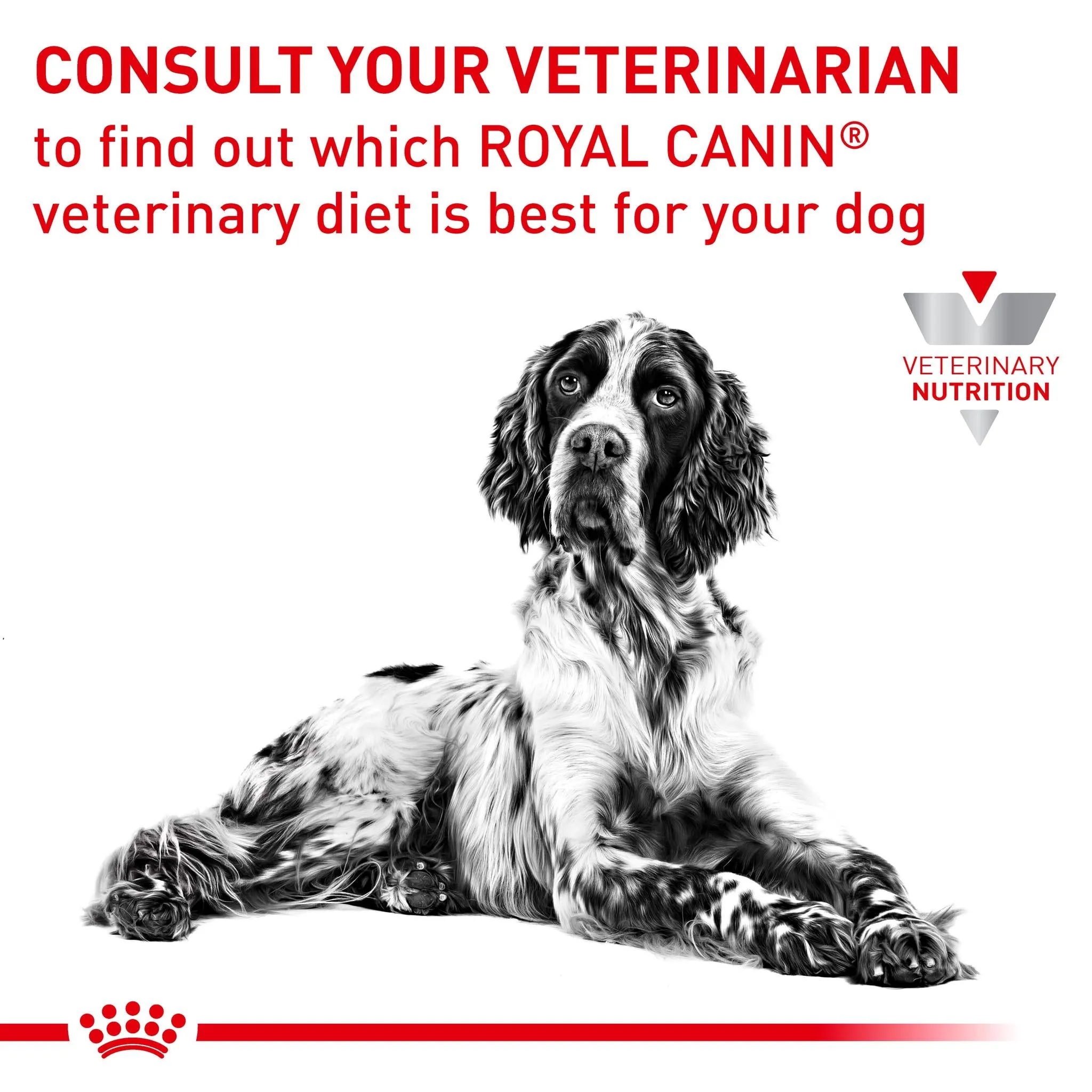 Royal Canin Veterinary Diet Skintopic Adult Dry Dog Food